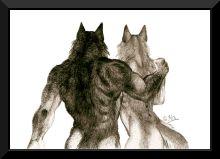 pair_of_wolves